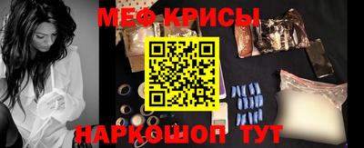 СК Владикавказ