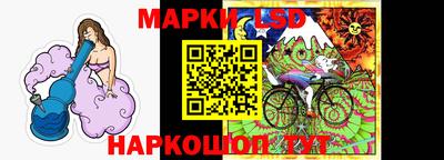 СК Владикавказ